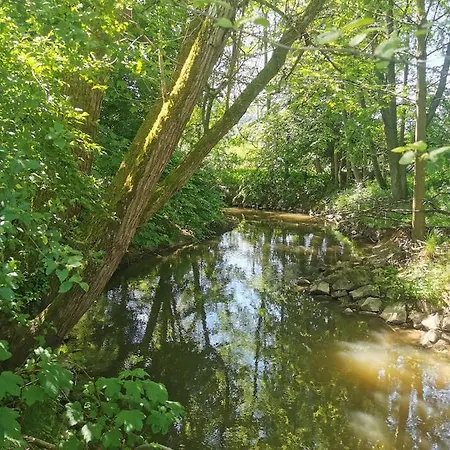 Oelmuehle